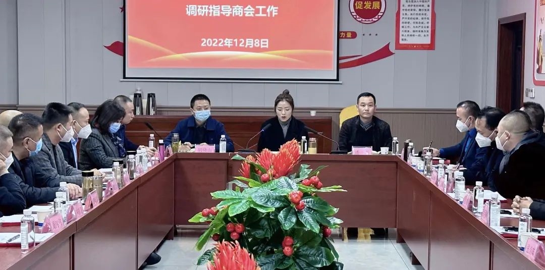 马倩带队走访安康市紫阳商会