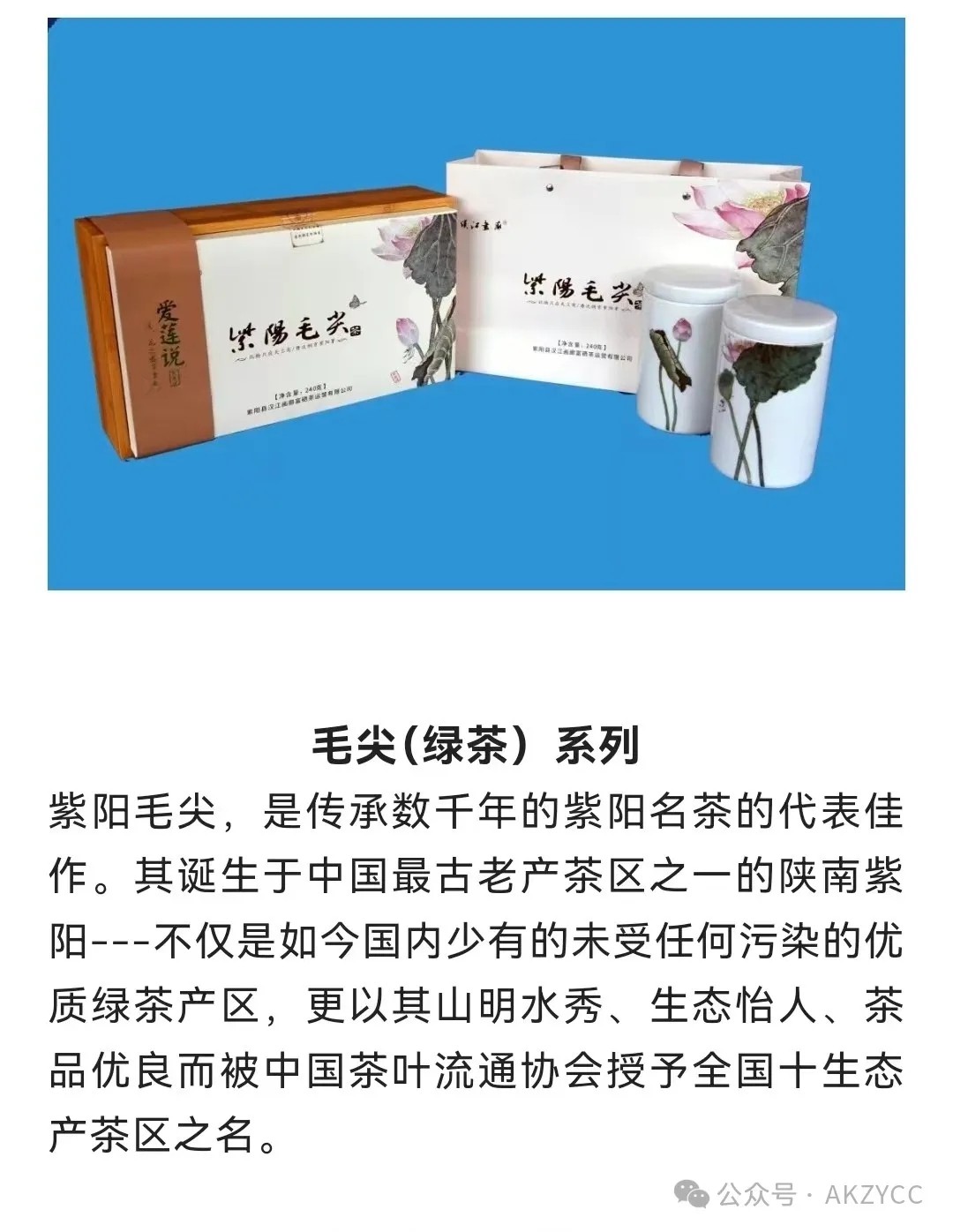 会员推荐---紫阳县陕青茶业有限公司董事长龚小利