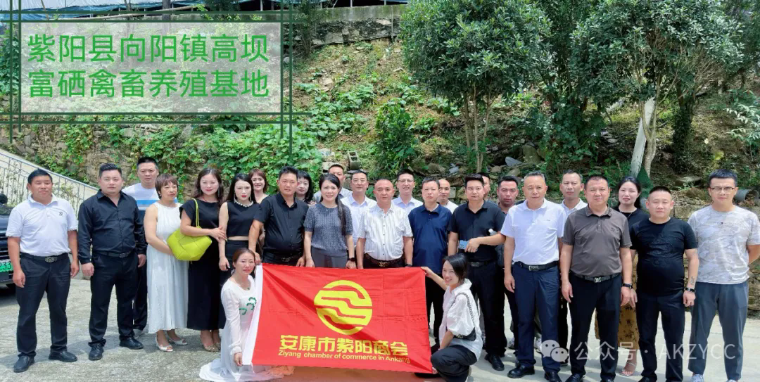 安康市紫阳商会召开2024年第五轮轮值会长座谈会